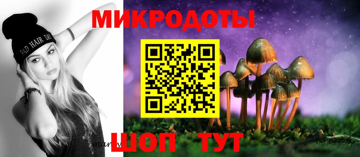 Галлюциногенные грибы мицелий Белая Калитва