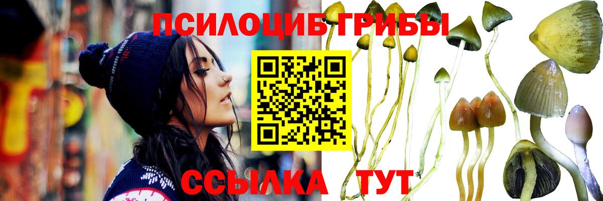 Белая Калитва  Псилоцибиновые грибы Magic Shrooms  Вход с VPN  Псилоцибиновые грибы мицелий 
